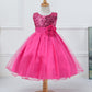 Girl's Princess Sequined Dress